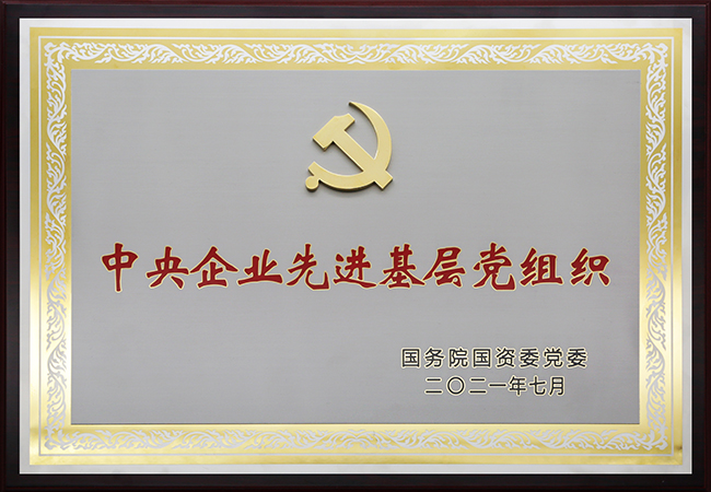 國珍松花粉-新時(shí)代健康產(chǎn)業(yè)（集團）有限公司成立于1995年3月，是中國新時(shí)代控股（集團）公司的控股子公司，總部設在北京，注冊資本1億元人民幣。公司是直銷(xiāo)行業(yè)內首批獲得直銷(xiāo)牌照的內資企業(yè)之一，也是行業(yè)內唯一一家央屬企業(yè)。